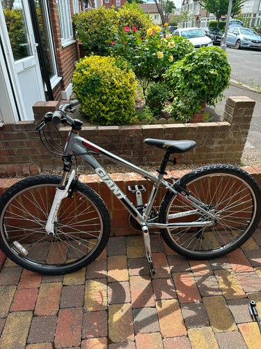 Giant revel mountain bike - 3,
