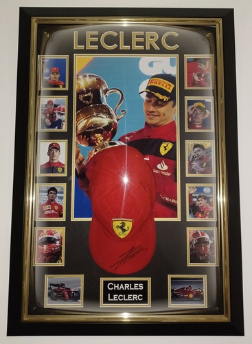 New framed charles leclerc - new,