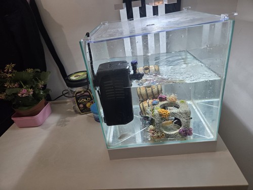Brand new fish tank - **brand, new**