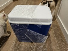 30L Cooler Box Cool 9 Hours Picnic Camping Portable with Carry Handle