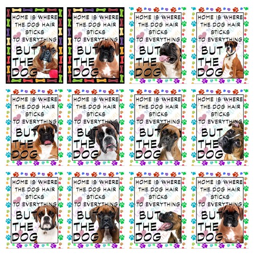 Boxer dog retro - dog,