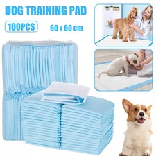 100 Large Puppy Training