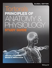 Tortoras Principles Of Anatomy