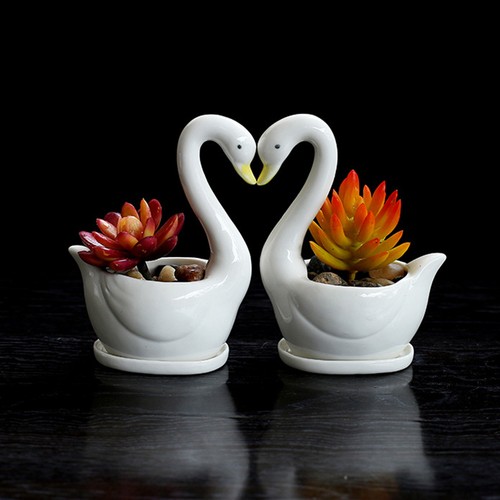 Pack swan flower pot - 2-pack,