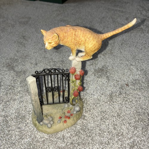 Teviotdale scotland ginger cat - ginger,