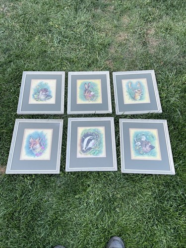 Sharon jervis framed wildlife - sharon,