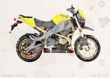 A3 Photo Buell Ulysses XB12X