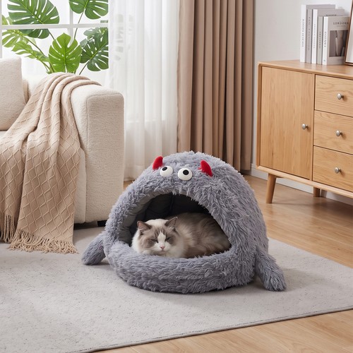 Cute dog cat - dog, shaggy