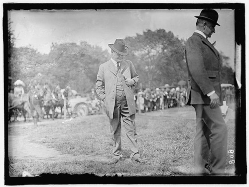 Photo horse shows senator - photo:horse, shows.