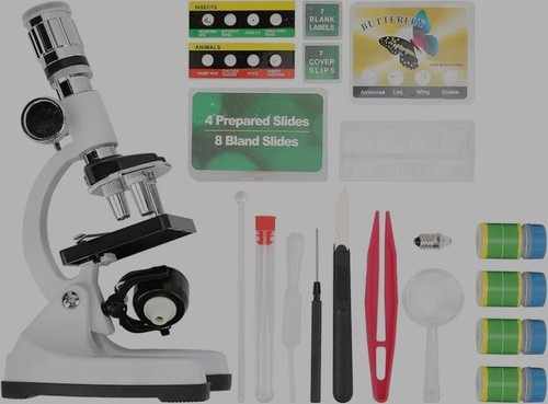 Microscope for kids 1200x - for,