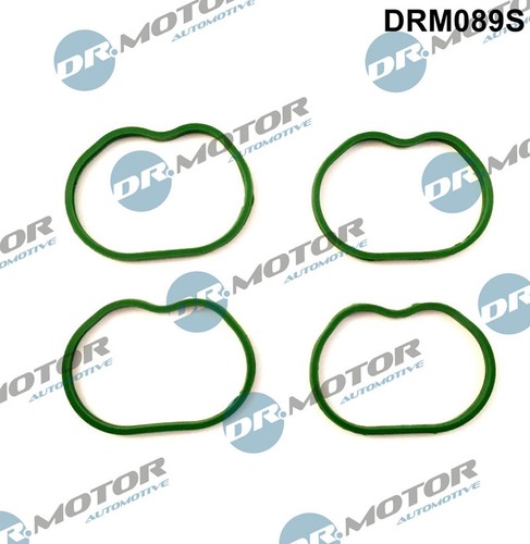 Fits motor drm089s seals - motor,