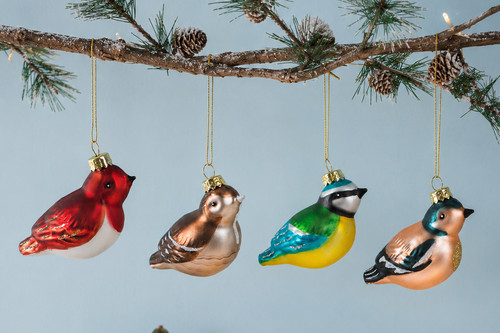 Sass belle british - belle, bird