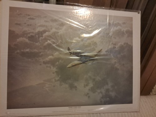 Unframed ww2 aircraft - unframed,