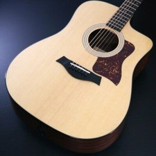 Taylor 210ce (2020) (Acoustic Guitar, NEW)
