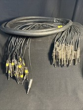 Studio/live Stereo Jack To Jack 24 Ch Wiring Loom. Pre Owned . Length 9Ft.