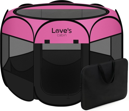 Pet puppy dog - dog, large