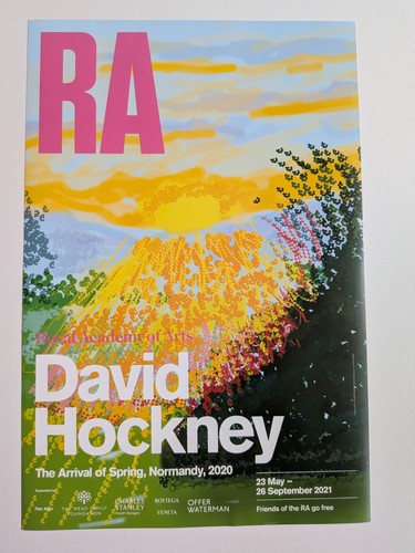 David hockney the arrival - hockney, of