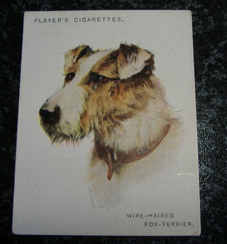 John player dogs - (large),