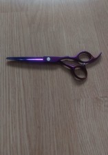 6" Offset Hairdressing Salon Scissors