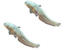 2 x Wells Catfish Fish