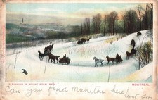 Sleighing in Mount Royal Park