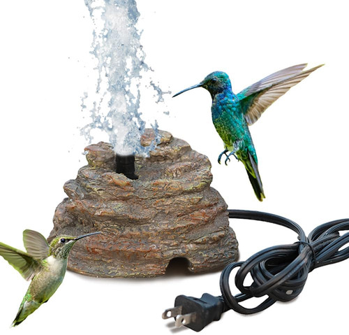 Bird bath water - bird,