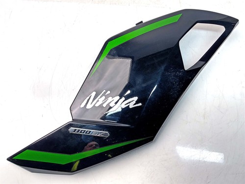 2025 kawasaki ninja zx11 - 2025,