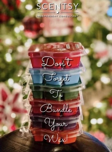 New scentsy mystery bundle - *new*,