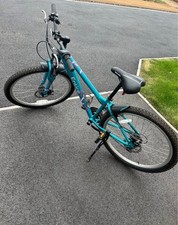 Apollo Entice 14" frame