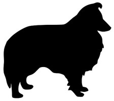 Shetland Sheepdog | Vinyl