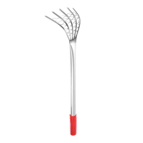 Rake clam small - clam,