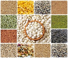 Pure Organic Pulses Lentils