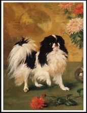 JAPANESE CHIN AND CHRYSANTHEMUMS LOVELY VINTAGE STYLE DOG ART PRINT POSTER