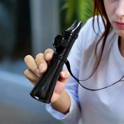 Kazoo flute with - flute,