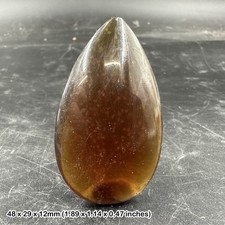 Amber Sulawesi Palm Stone