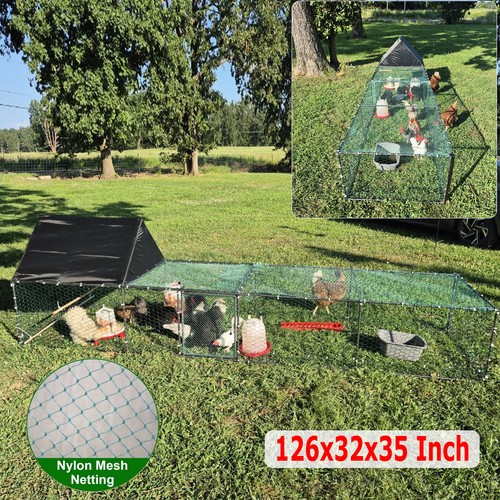 Extra long chicken coop - chicken,