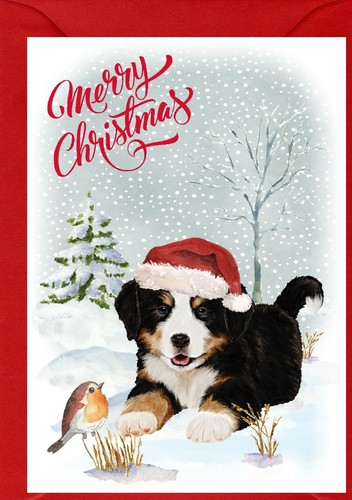 Bernese mountain dog - (4", x