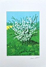 DAVID HOCKNEY - The Arrival of