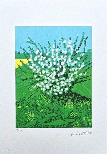 David hockney the - hockney, arrival