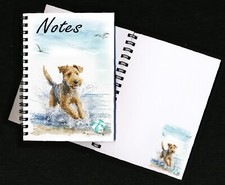 Lakeland Terrier Dog