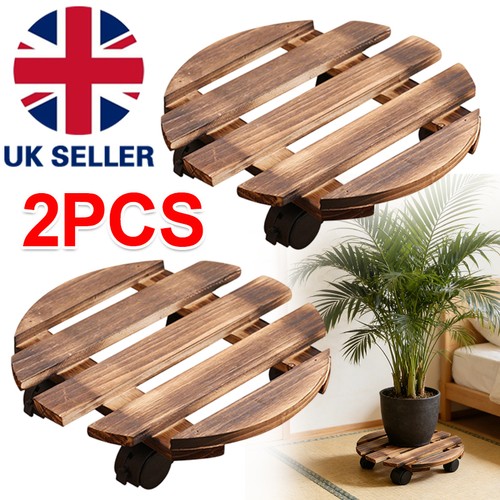 Pack 30cm inch - 2, plant