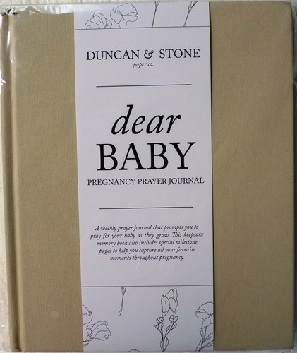 Dear baby pregnancy prayer - pregnancy,