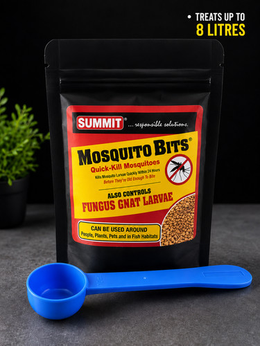 Mosquito bits fungus gnat - mosquito,