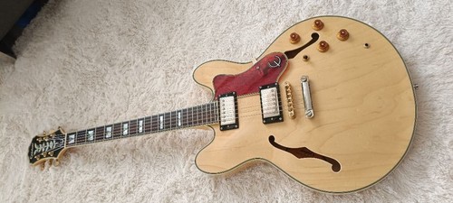 Epiphone sheraton - sheraton, ii