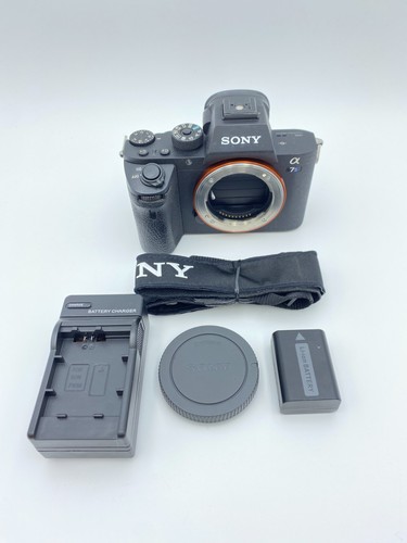 Sony alpha a7s mirrorless - alpha,