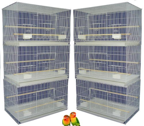 Lot aviary canaries - lot, 6