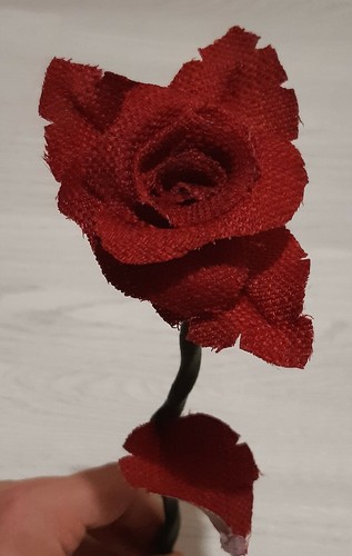 Red linen rose - red, 4th