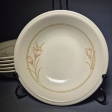 6 Bilton Spring Bouquet Crocus