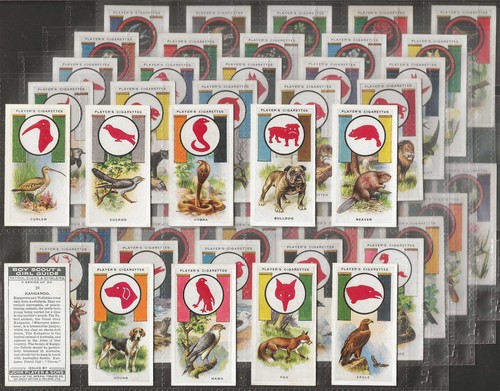 Players full set - players-full, set-