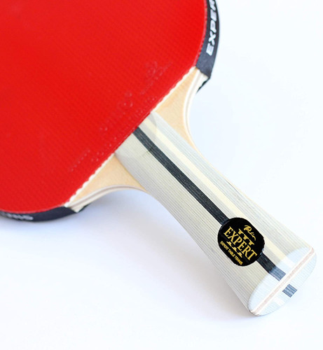 Palio expert table tennis - expert, 3.0
